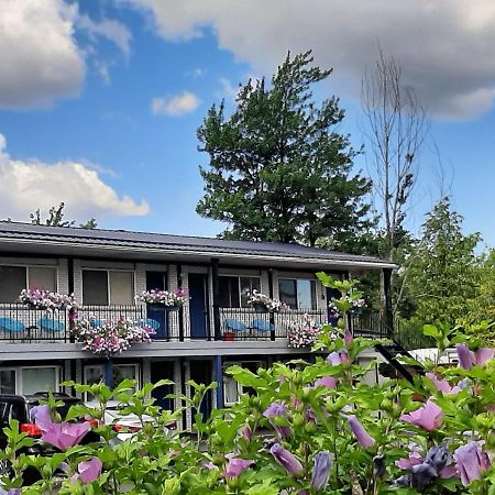 Blue Moon Motel Ніагара-Фоллс Екстер'єр фото