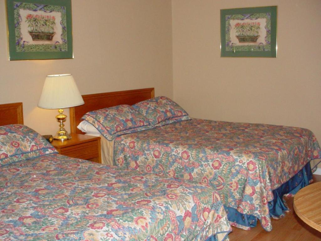 Blue Moon Motel Ніагара-Фоллс Номер фото
